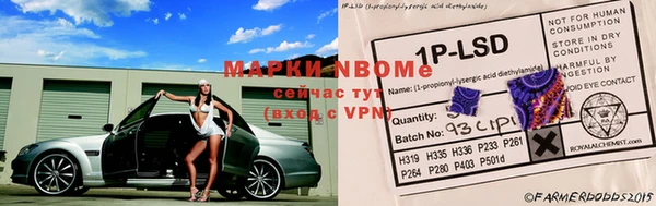 кокс Аркадак
